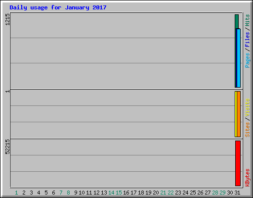 Daily usage for January 2017