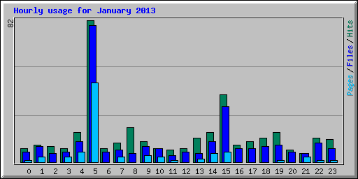 Hourly usage for January 2013
