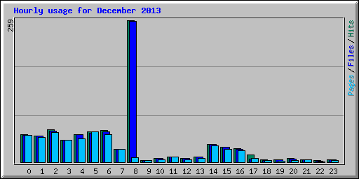 Hourly usage for December 2013