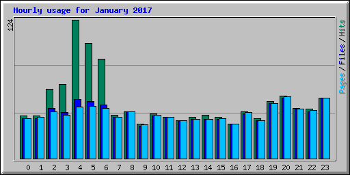 Hourly usage for January 2017
